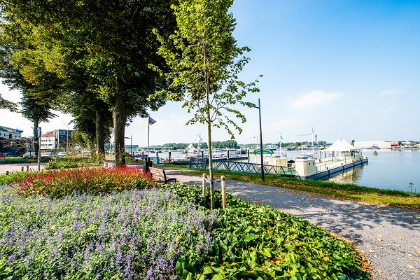 Fietspad langs de Maas in het schippersdorp Maasbracht