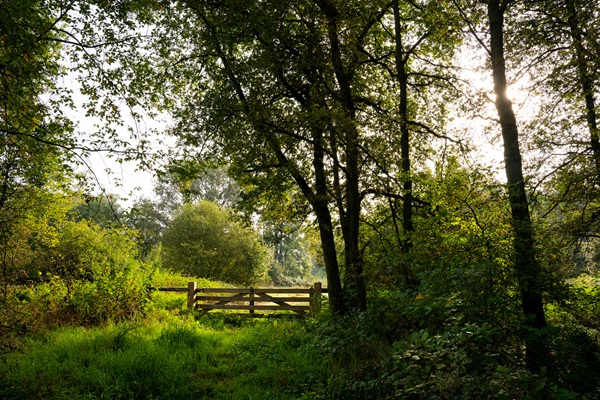 Hek in natuurgebied Sarsven en De banen