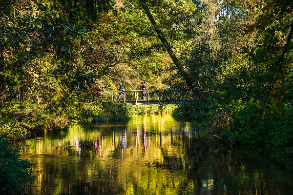 Wandelen over een brug over de Swalm