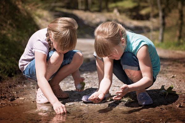 Entdecken Kinder Natur