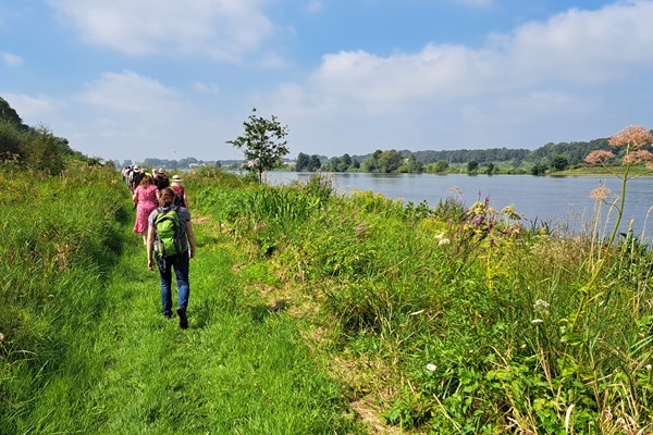 Wandelaars lopen over een smal graspaadje langs de Maas, omringd door groen en bloeiende planten, met een blauwe lucht op de achtergrond.