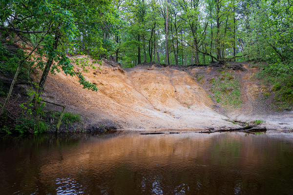 De big Five :Natuurgebied Leudal