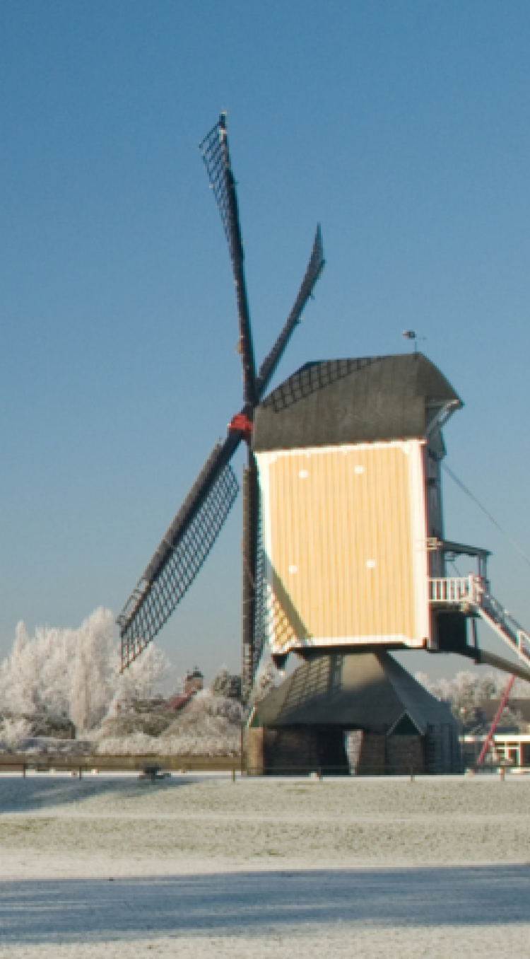 5x Frisse Start Routes Molen Baexem Sneeuw